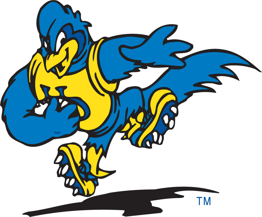 Delaware Blue Hens 1999-2009 Mascot Logo v11 diy iron on heat transfer